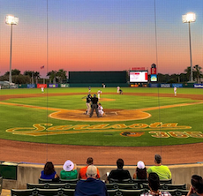 family watching spring training baseball game